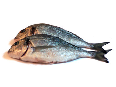 Fish-Gokhan-Okur