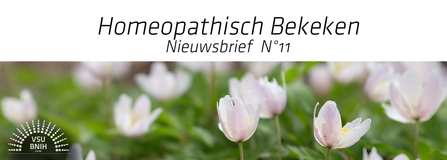 Nieuwsbrief-Header-2018-03 (© foto: Meta Zahren) 