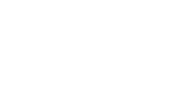 VSU logo