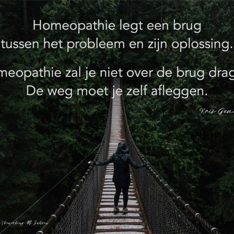 Homeopathie legt een brug
