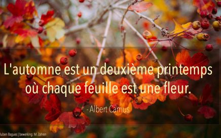Citaten Albert Camus