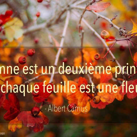 Citaten Albert Camus
