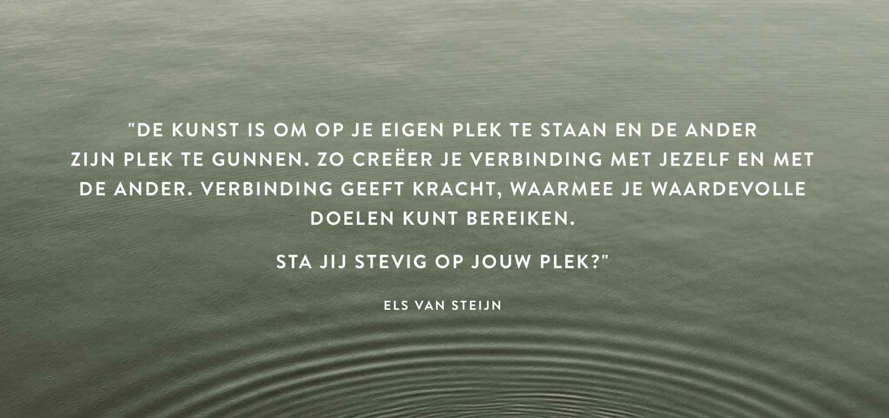 van de website elsvansteijn.nl