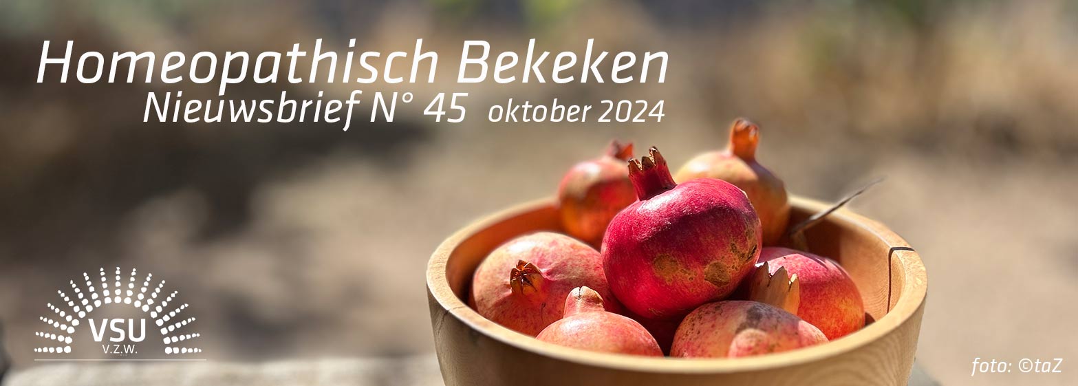 Nieuwsbrief-Header-45-2024